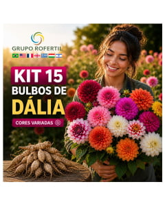 Kit 15 Bulbos Dália – Transforme Seu Espaço em um Jardim de Destaque